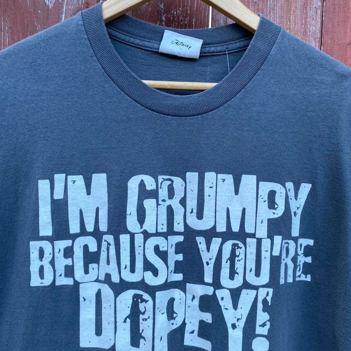 Disney Dwarfs Tee