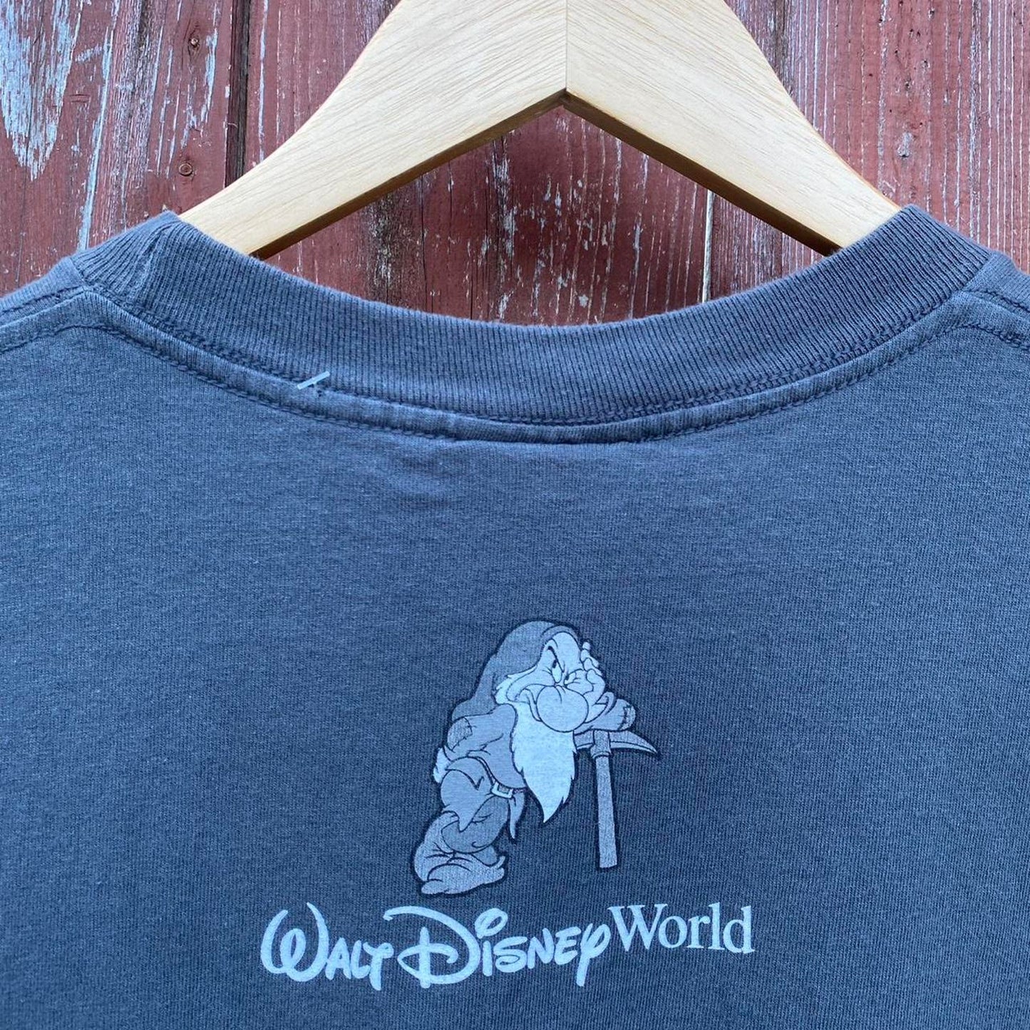 Disney Dwarfs Tee