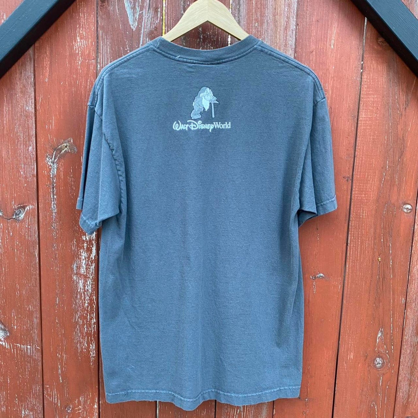 Disney Dwarfs Tee