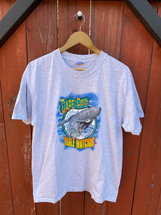 Cape Cod Whale Watching