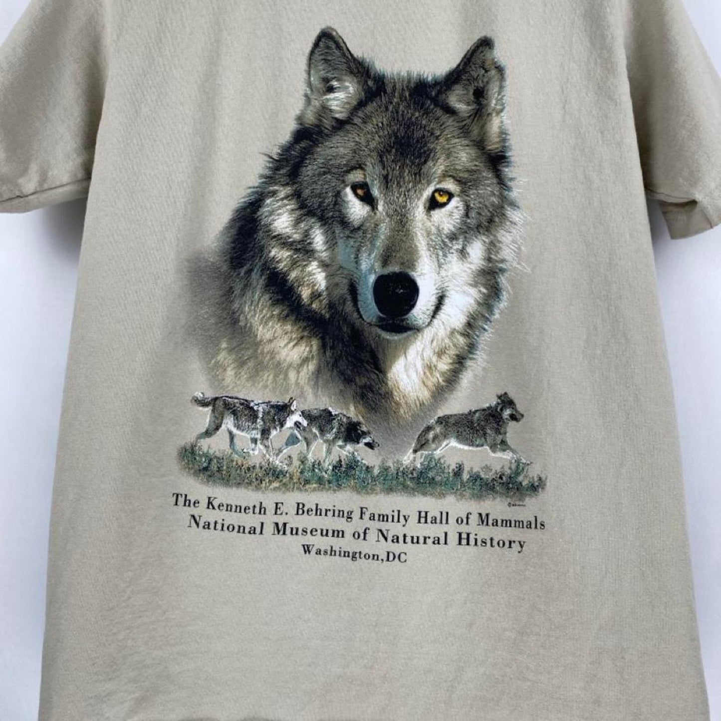 Museum of Natural History Tee - S