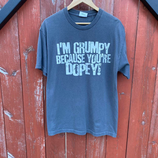 Disney Dwarfs Tee