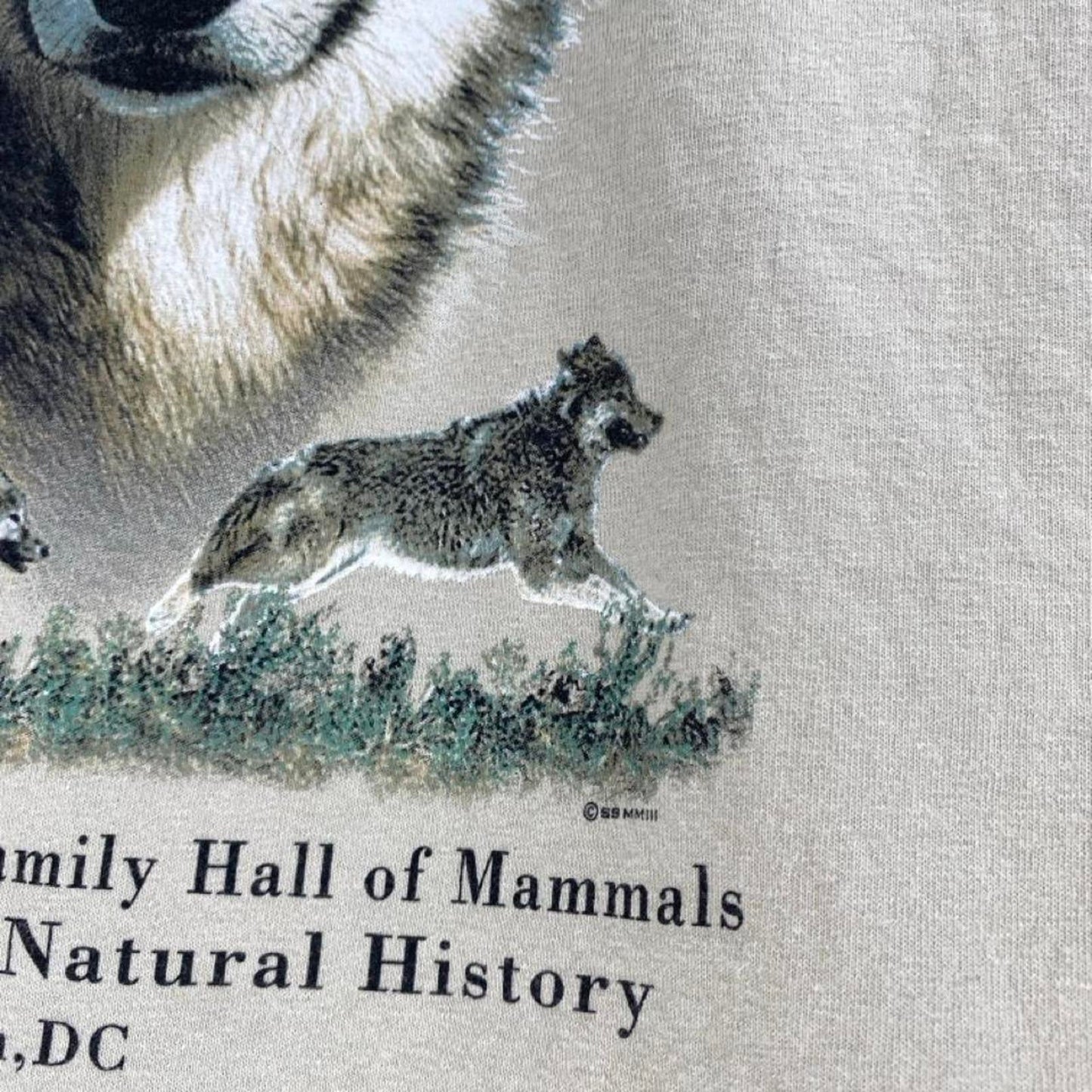 Museum of Natural History Tee - S