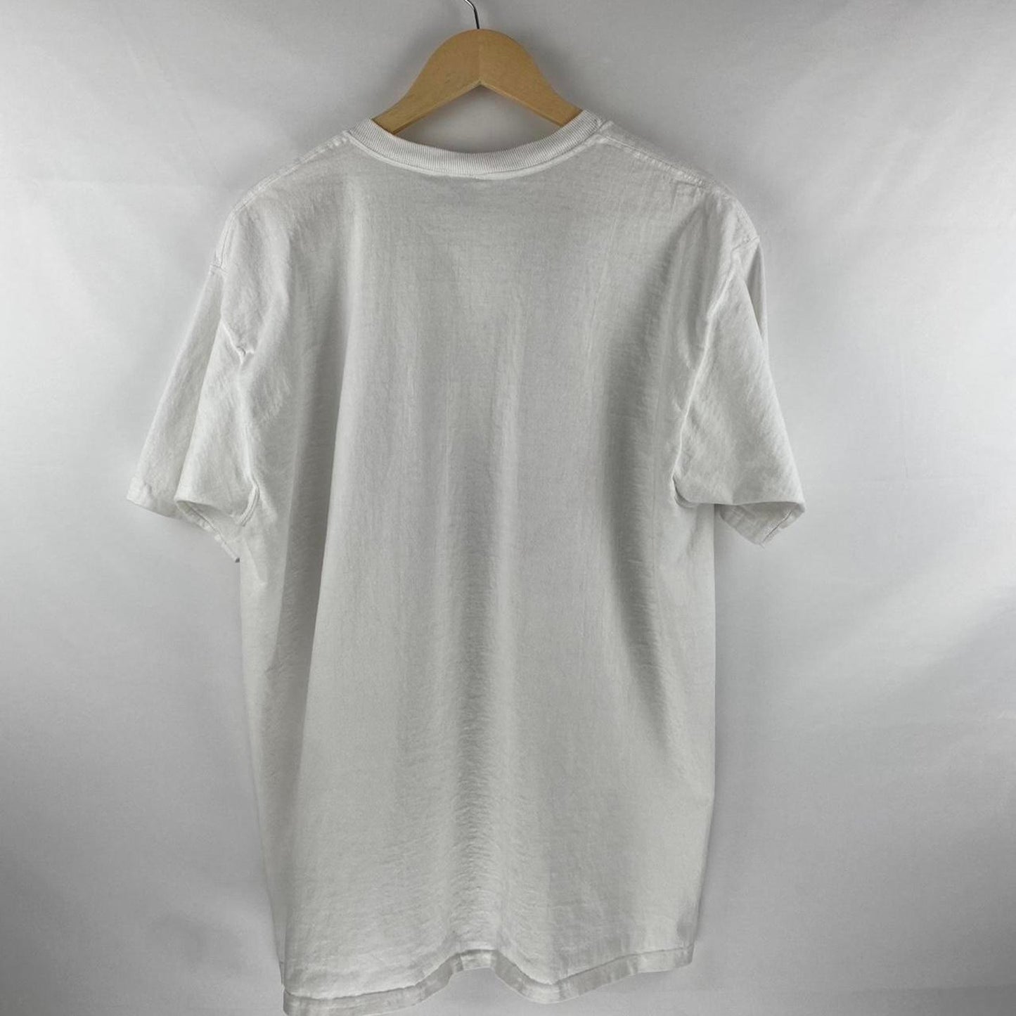 Censorship Sucks Tee - XL