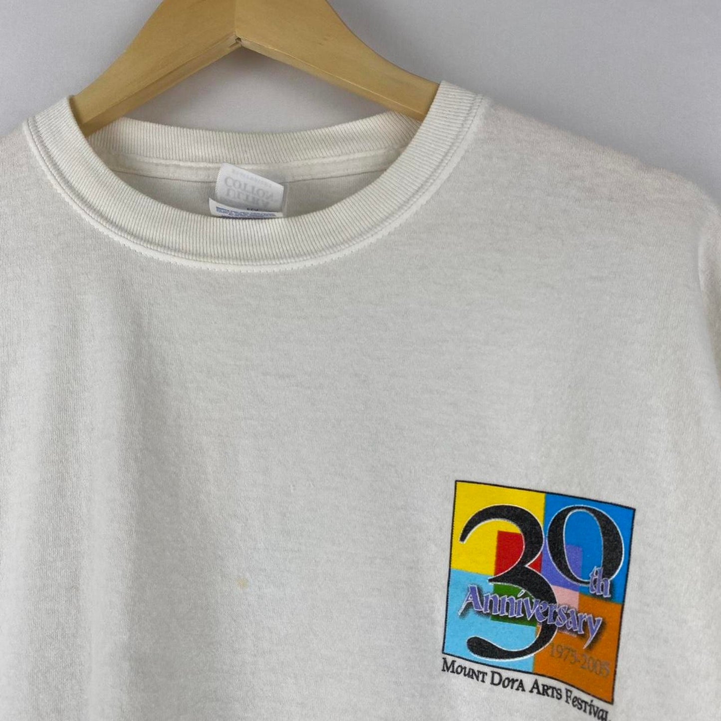 Mount Dora Art Festival Long Sleeve - XXL