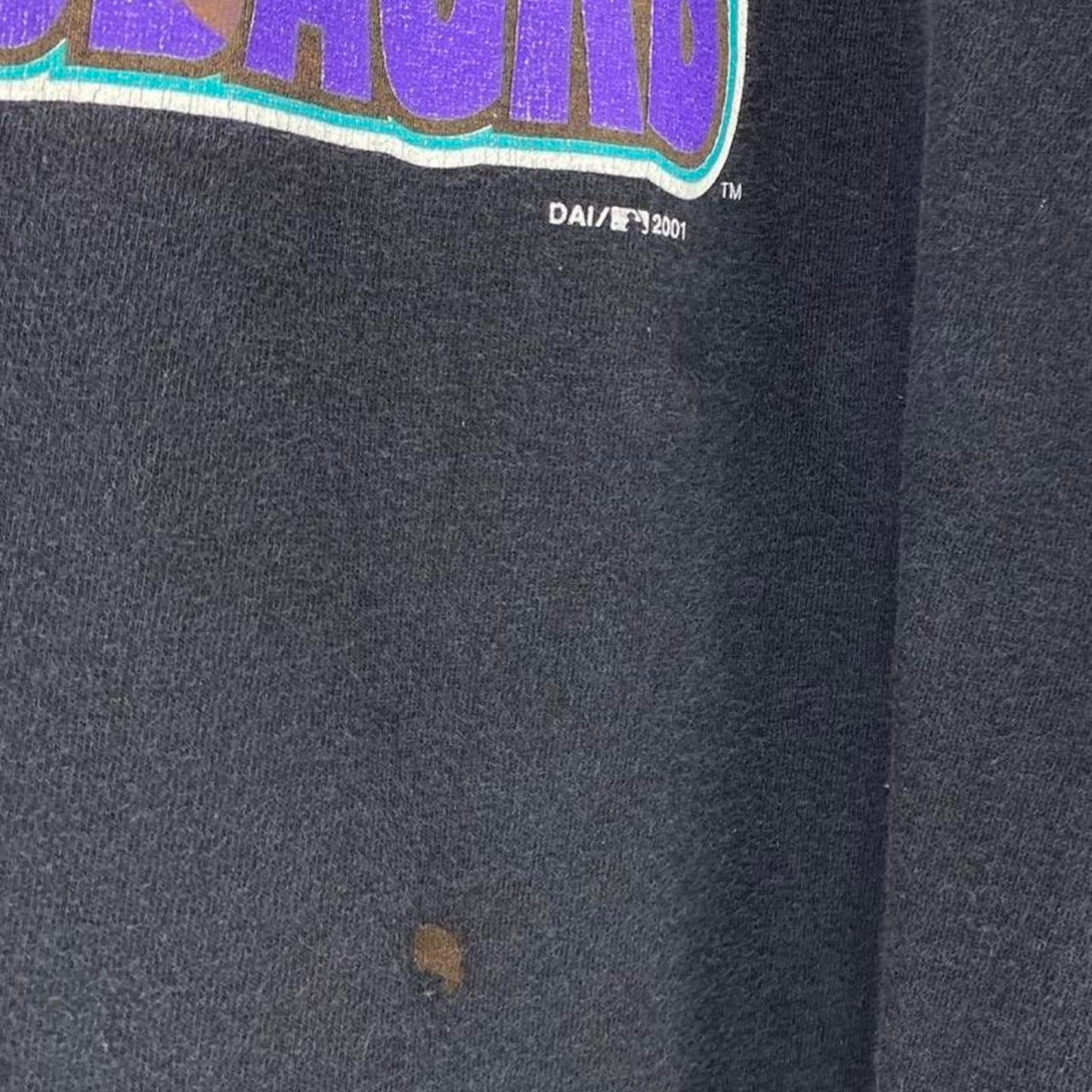 Diamondbacks World Series Champs Tee - L